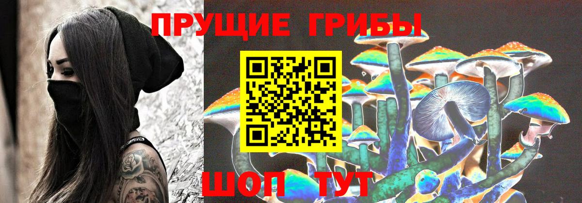 Галлюциногенные грибы прущие грибы Балашов