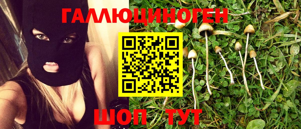 Галлюциногенные грибы ЛСД  Галлюциногенные грибы Magic Shrooms  Балашов  Вход с VPN 
